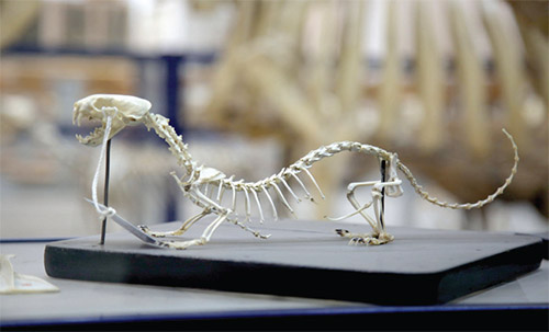 نیم قرن تلاش علمی