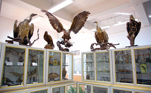 نیم قرن تلاش علمی