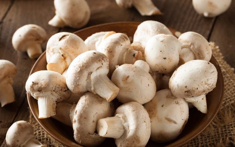 ۳ منبع غذایی مهم برای تامین ویتامینD ۳ منبع غذایی مهم برای تامین ویتامینD