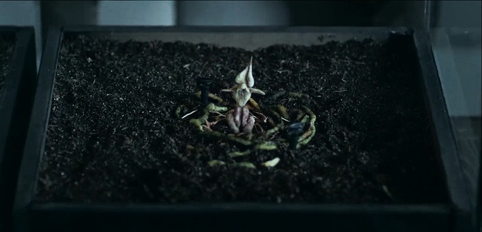 نگاهی به قسمت آخر سریال «قورباغه» | معلق مثل رامین، گردنکش مثل یاغی‌ها