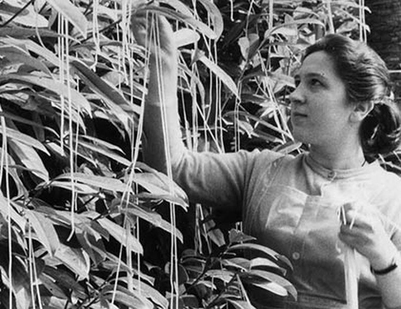 دروغ اول آوریل یا دروغ سیزده چیست؟ + عکس دروغ اول آوریل یا دروغ سیزده چیست؟ + عکس