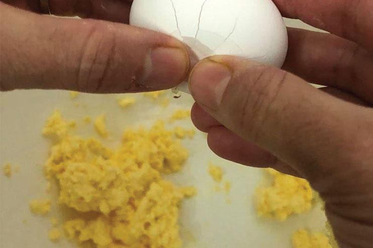 شیرینی شکری