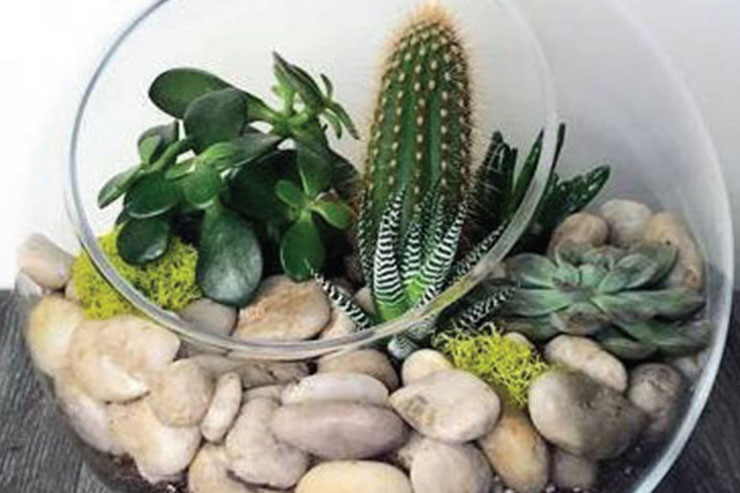 ساخت باغ&zwnj;های شیشه&zwnj;ای در خانه