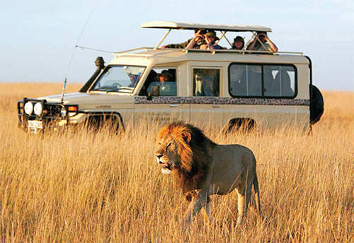 مسافران «مارا»