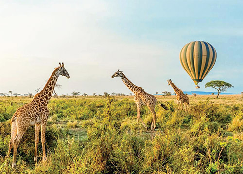 مسافران «مارا»