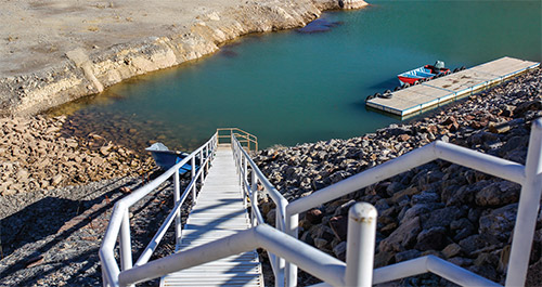 بارش خراسانی، مصرف هلندی!