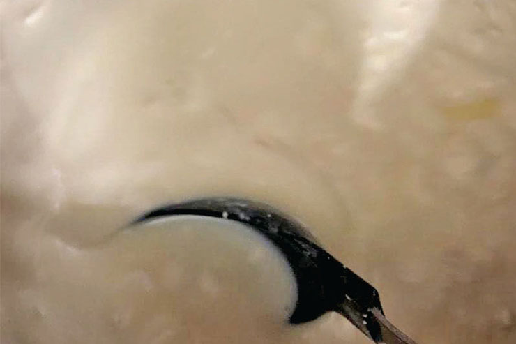 پان اسپانیا