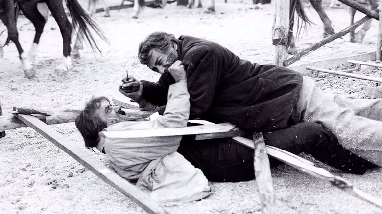 درباره جلال مقدم سینماگر مهجور خراسانی که ۲۵ سال از نبودنش می‌گذرد