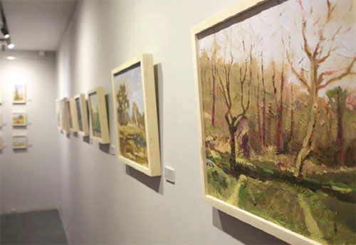 جنگلی زیر نور تند آفتاب جنگلی زیر نور تند آفتاب