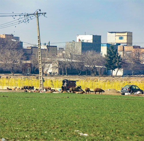 روز‌های تلخِ «حلوایی»