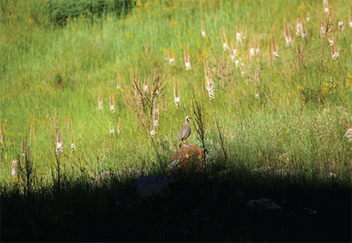 باید از اُرس عذرخواهی کنیم باید از اُرس عذرخواهی کنیم