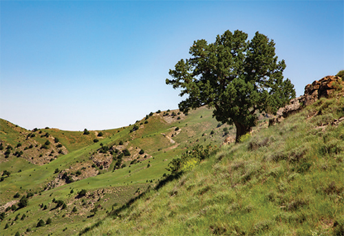 باید از اُرس عذرخواهی کنیم باید از اُرس عذرخواهی کنیم
