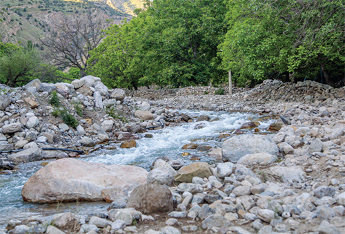 باید از اُرس عذرخواهی کنیم باید از اُرس عذرخواهی کنیم