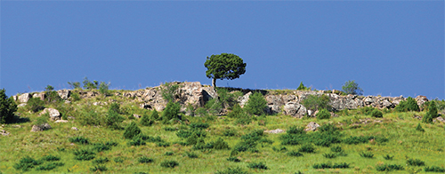 باید از اُرس عذرخواهی کنیم باید از اُرس عذرخواهی کنیم