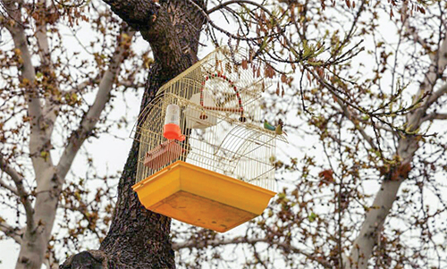 المانهای نوروزی، پلی به دیروز المانهای نوروزی، پلی به دیروز