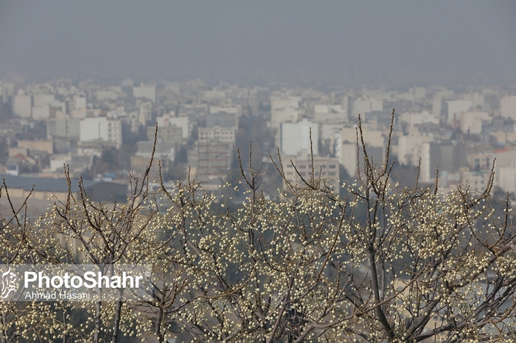 آلودگی هوا به ازای هر سفر با خودروی شخصی، ۱۰ برابر همان سفر با اتوبوس است 