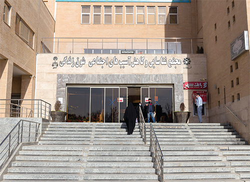 شوق بهار در سرمای زندگی شوق بهار در سرمای زندگی