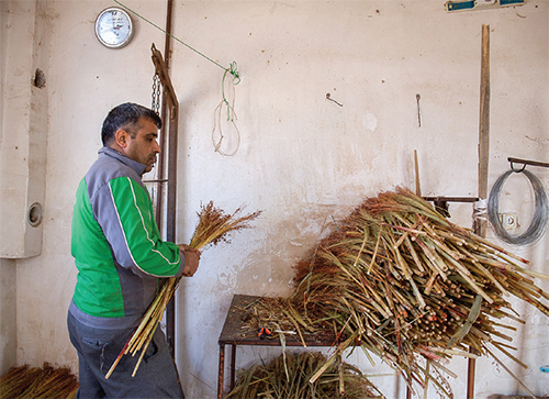 زندگی، جاری در خرمن جارو زندگی، جاری در خرمن جارو