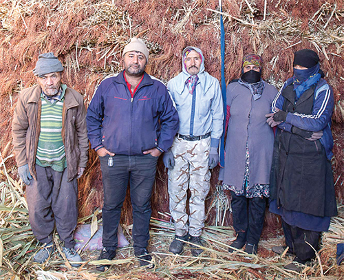 زندگی، جاری در خرمن جارو زندگی، جاری در خرمن جارو