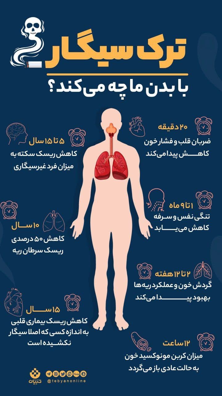 اینفوگرافیک | ترک سیگار با بدن ما چه می&zwnj;کند؟