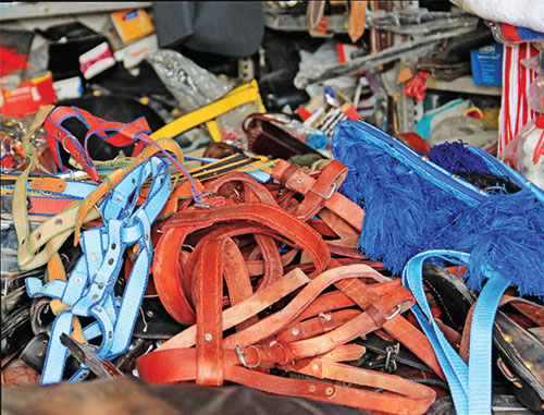 خیاط اسبها بودم خیاط اسبها بودم