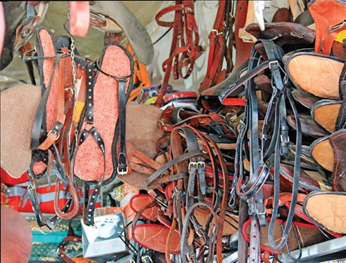 خیاط اسبها بودم خیاط اسبها بودم