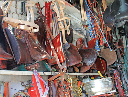 خیاط اسبها بودم خیاط اسبها بودم