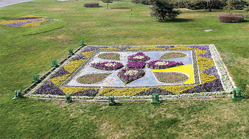 بهارانی که با هنر دلنشینتر شدند بهارانی که با هنر دلنشینتر شدند