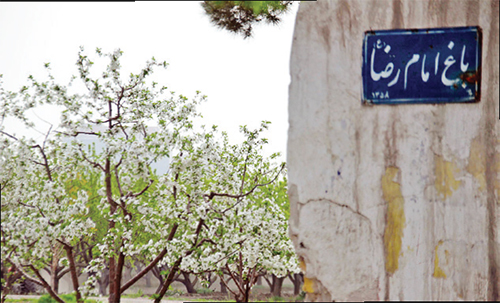 باغ رضوان رضا (ع)