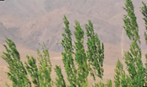 باغ رضوان رضا (ع)