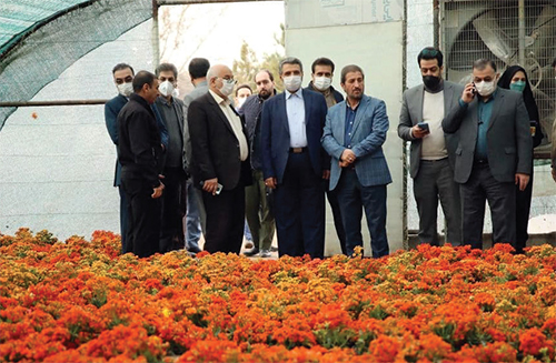 عید نزدیک است عید نزدیک است