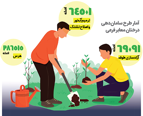 احترام شهر به سرسبزی احترام شهر به سرسبزی