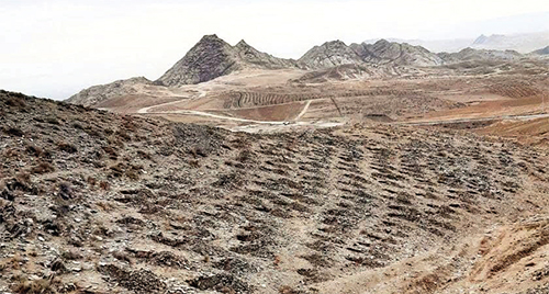 هر کاشتی برداشت ندارد! هر کاشتی برداشت ندارد!