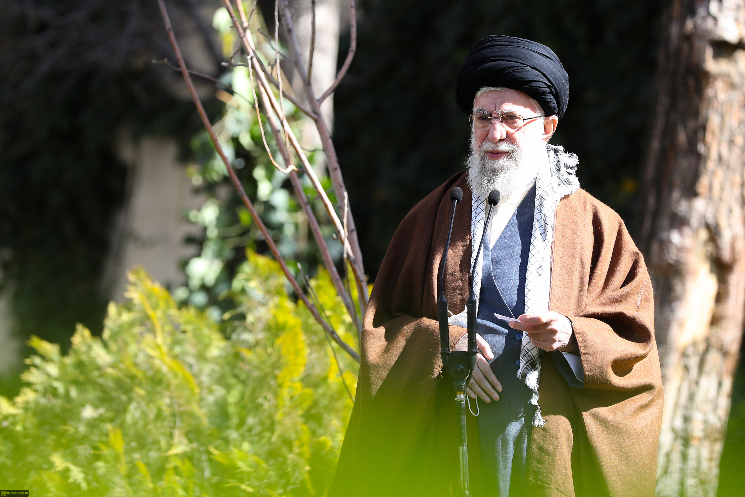 کاشت نهال توسط رهبر انقلاب کاشت نهال توسط رهبر انقلاب