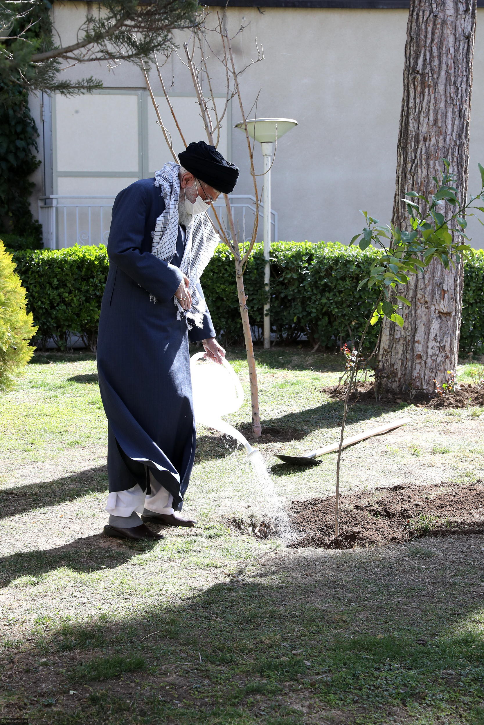 کاشت نهال توسط رهبر انقلاب کاشت نهال توسط رهبر انقلاب