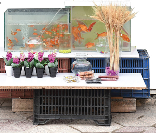 مردم قیمت میگیرند و میگذرند مردم قیمت میگیرند و میگذرند