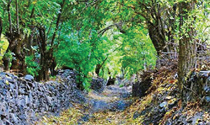 عید امسال کجا برویم؟ عید امسال کجا برویم؟