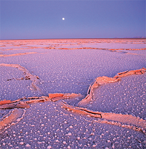 عید امسال کجا برویم؟ عید امسال کجا برویم؟