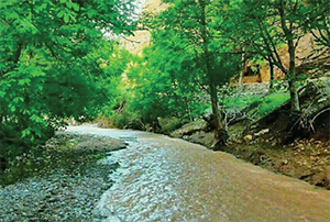 عید امسال کجا برویم؟ عید امسال کجا برویم؟