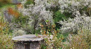 عید امسال کجا برویم؟ عید امسال کجا برویم؟