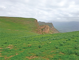 عید امسال کجا برویم؟ عید امسال کجا برویم؟