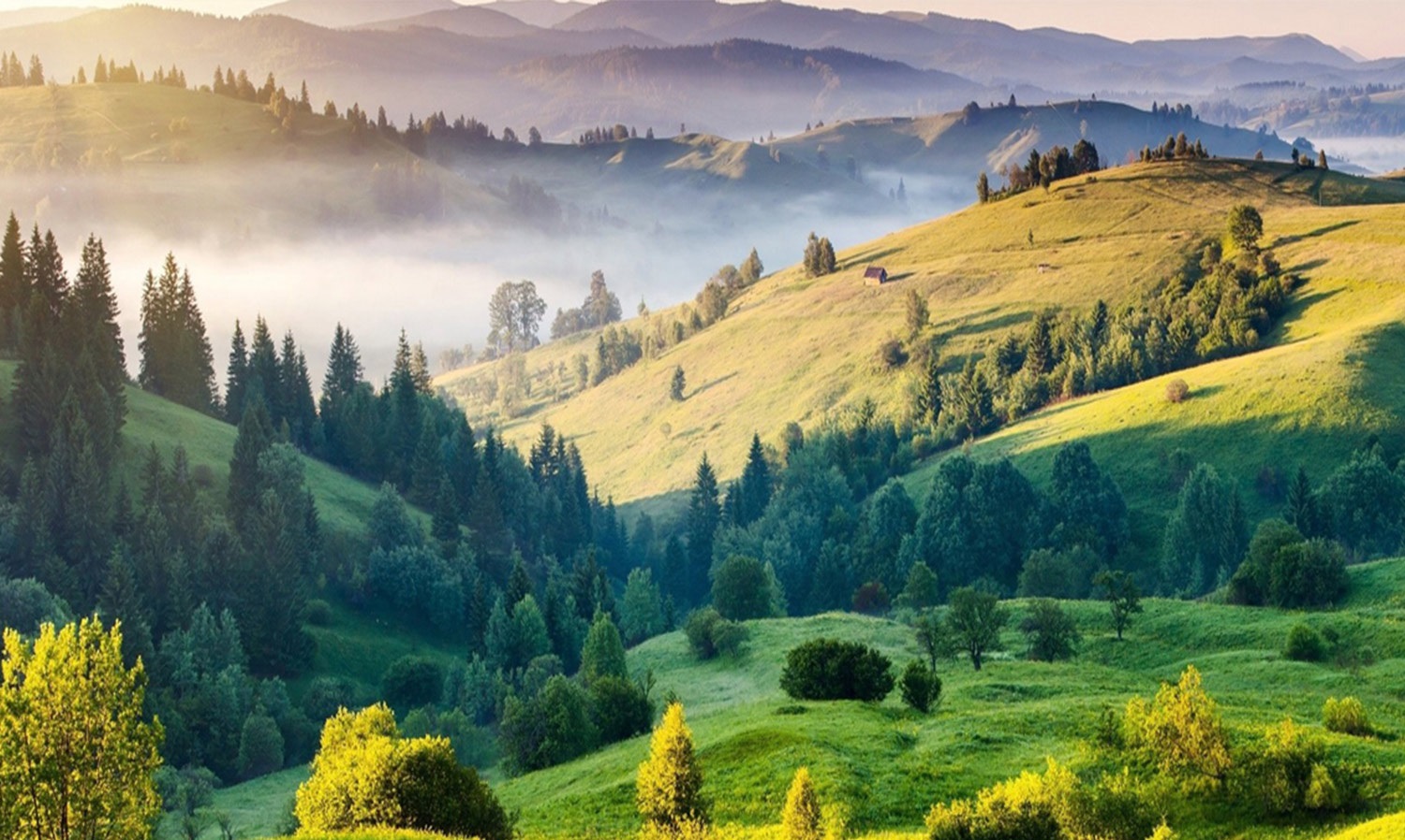 بسته پیشنهادی برای سفر در تعطیلات نوروز ۱۴۰۱ بسته پیشنهادی برای سفر در تعطیلات نوروز ۱۴۰۱