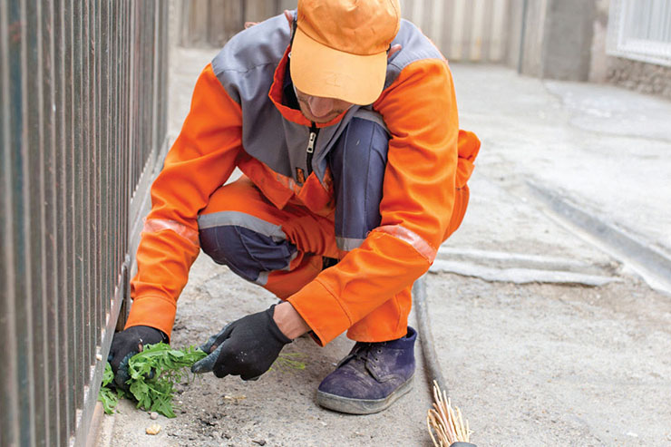 نان و دل پاکِ پاکبان