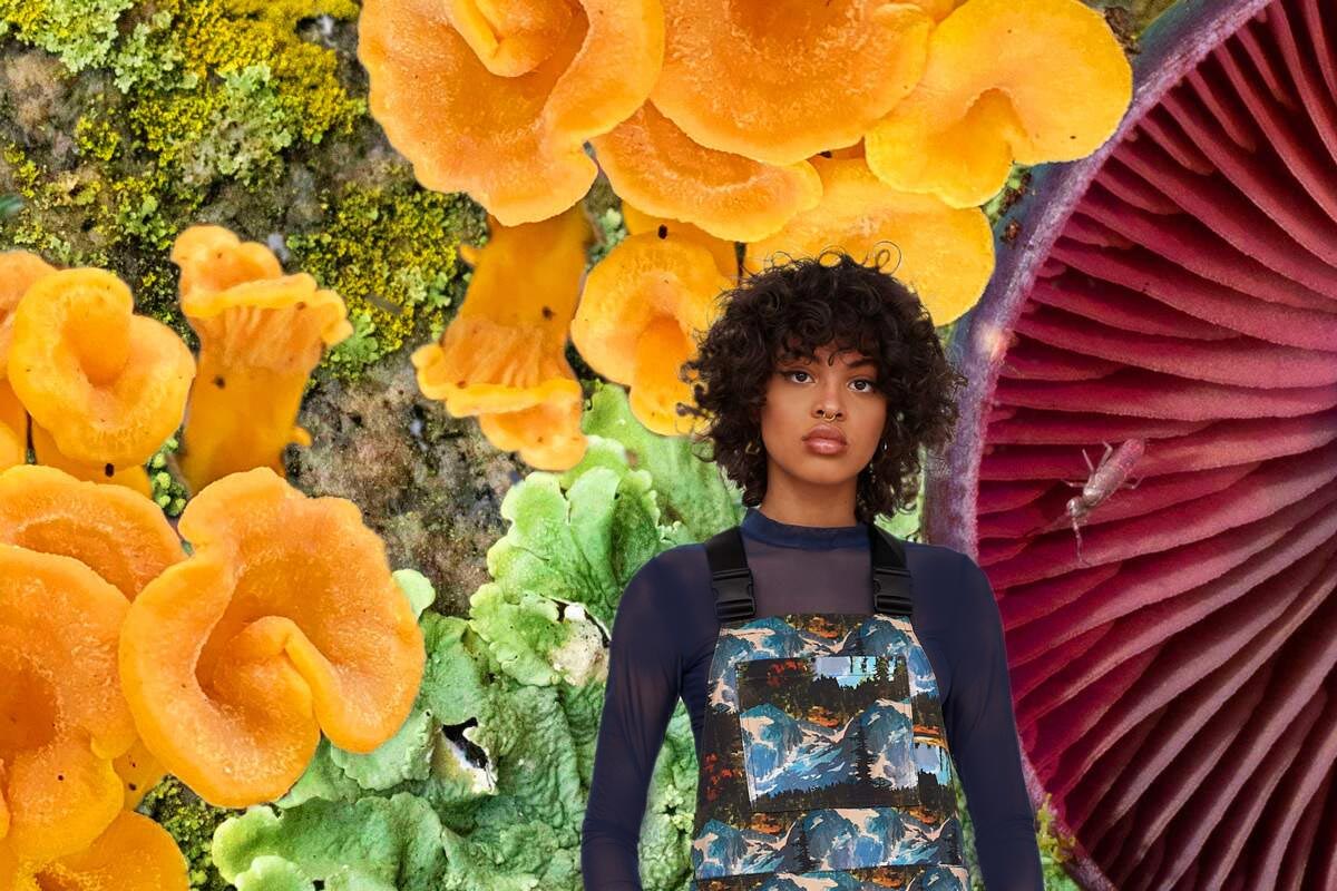 قارچ&zwnj;ها، الهگان زیبایی، شعر و موسیقی