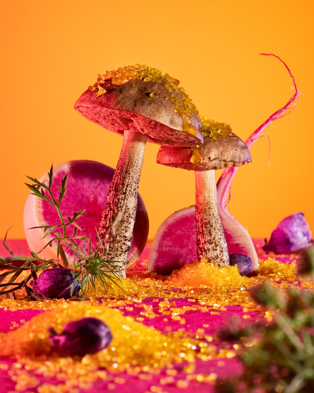 قارچ&zwnj;ها، الهگان زیبایی، شعر و موسیقی