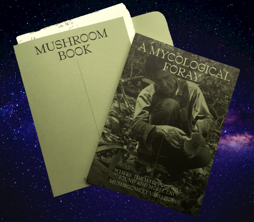 مجموعه&zwnj;عکس: قارچ&zwnj;ها، الهگان زیبایی، شعر و موسیقی