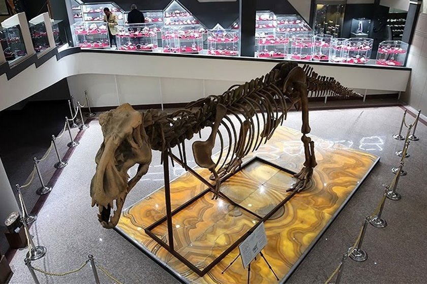 ففففففففففففف ففففففففففففف