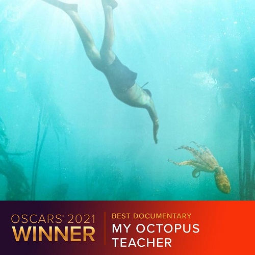 برندگان اسکار ۲۰۲۱ مشخص شدند | پیشتازی «سرزمین آواره‌ها» + تصاویر