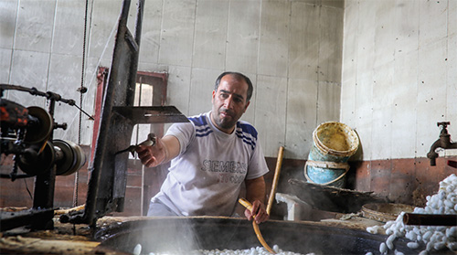 کرمی که به جان ابریشم افتاده است کرمی که به جان ابریشم افتاده است