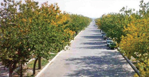 مُلکی که مَلِک سبز کرد